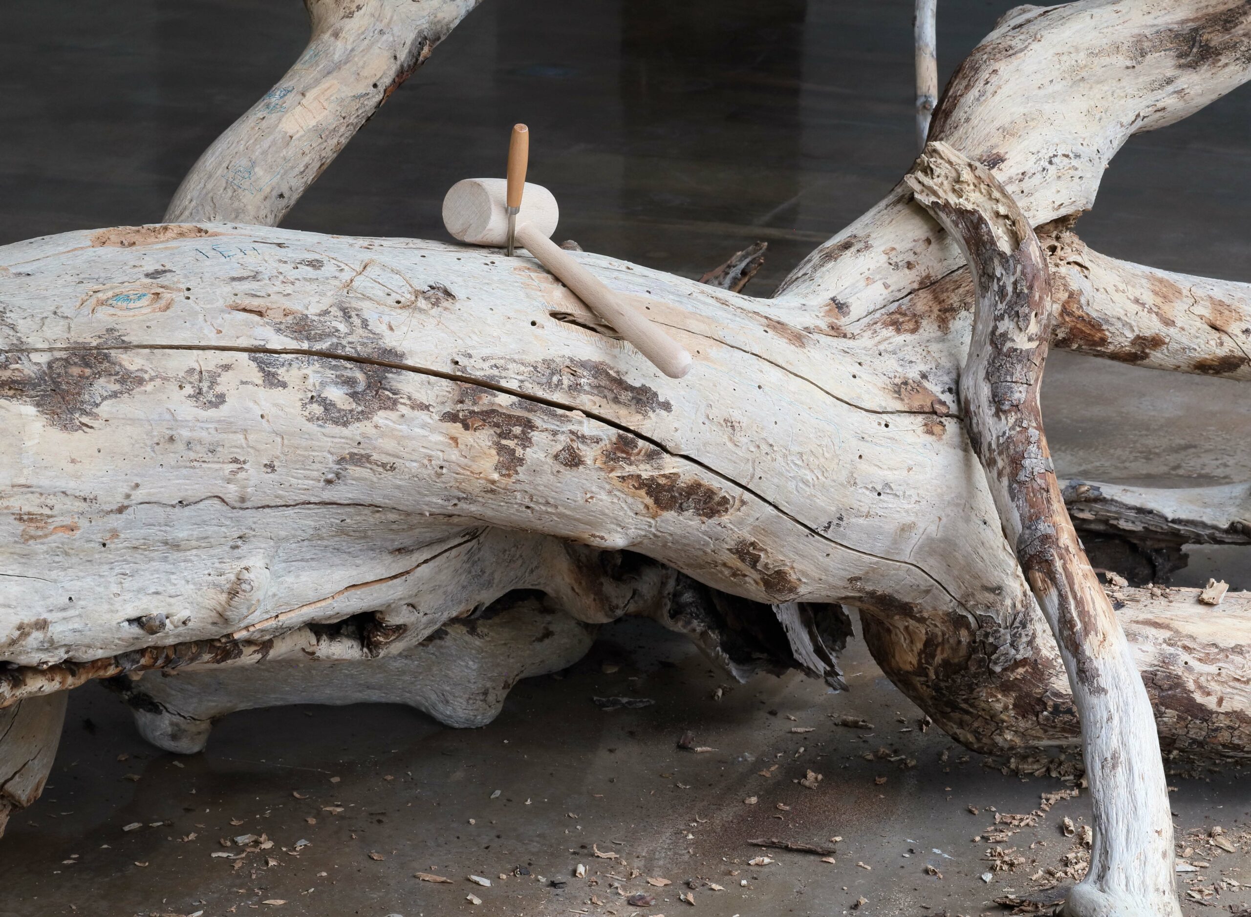 Edson Barrus Atikum et yann beauvais, "Imburaninha", vue de l’exposition, Ygrec-ENSAPC. ©Objets Pointus