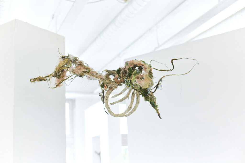 « Le Bryophasme », photo © Vanessa Kroupa